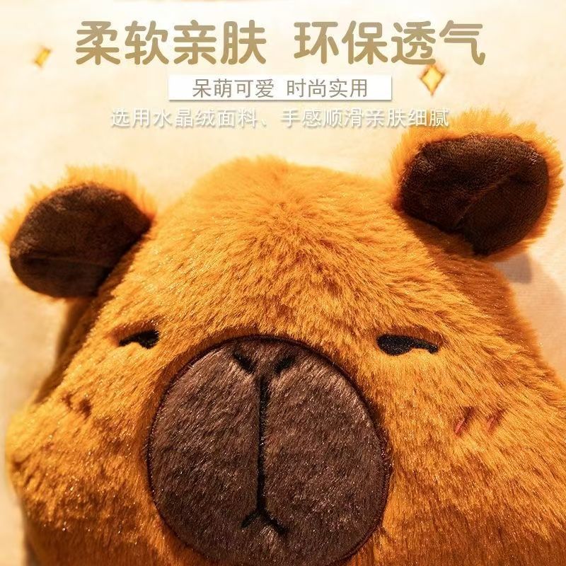 64加厚折叠抱枕被子两用冬季珊瑚绒毯子午睡办公室汽车载枕头二合