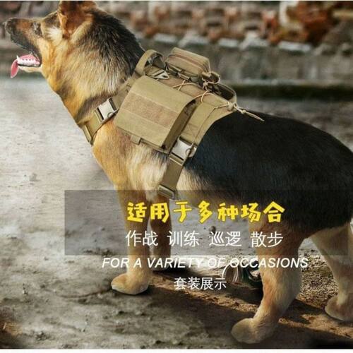 马犬训练战术胸背牵引套装
