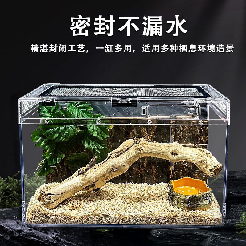 爬虫亚克力饲养盒宠物箱变色龙蜘蛛守宫角蛙甲虫蚕宝宝爬宠箱