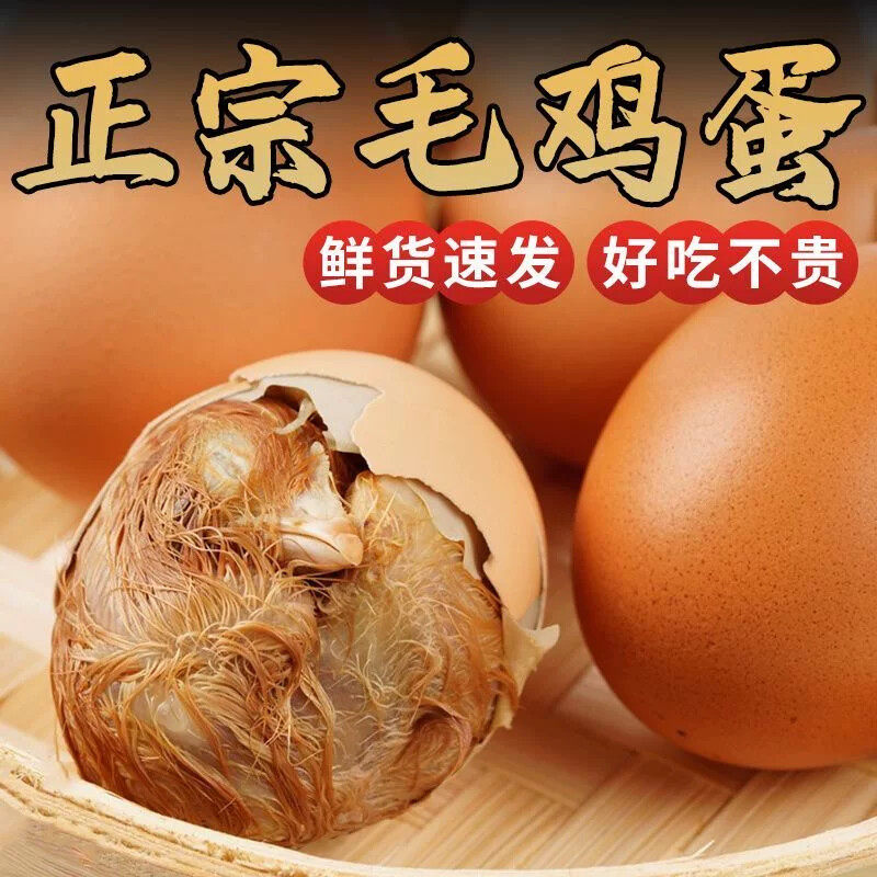 生18天毛鸡蛋40枚新鲜山东农家活珠子烧烤食材烤毛蛋喜蛋网红食品