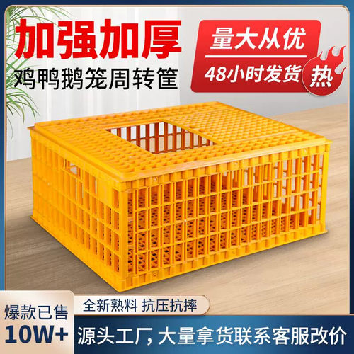 鸡笼家禽运输筐鸡用加厚大号塑料家用养殖鸡鸭鹅兔子运输笼周转箱