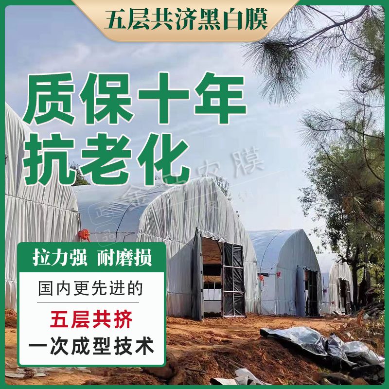 黑白膜塑料布加厚大棚膜养殖防晒隔热保温遮光家用遮盖反光黑色