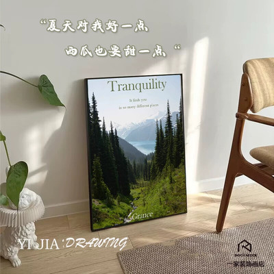 森林风景客厅装饰画现代简约ns摄影雪山草原挂画北欧客厅卧室摆画