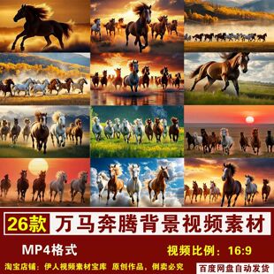 .YR462-万马奔腾素材马年万马奔腾骏马奔跑马匹驰骋背景视频素材