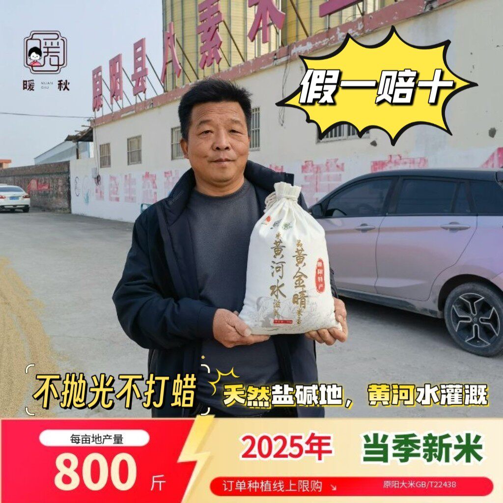 粗加工丑米/煮粥有胚芽米油充足不抛光河南原阳大米黄金晴