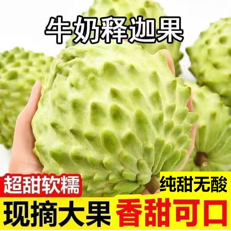 广西新鲜牛奶凤梨释迦果纯甜无酸软糯香甜坏果包赔