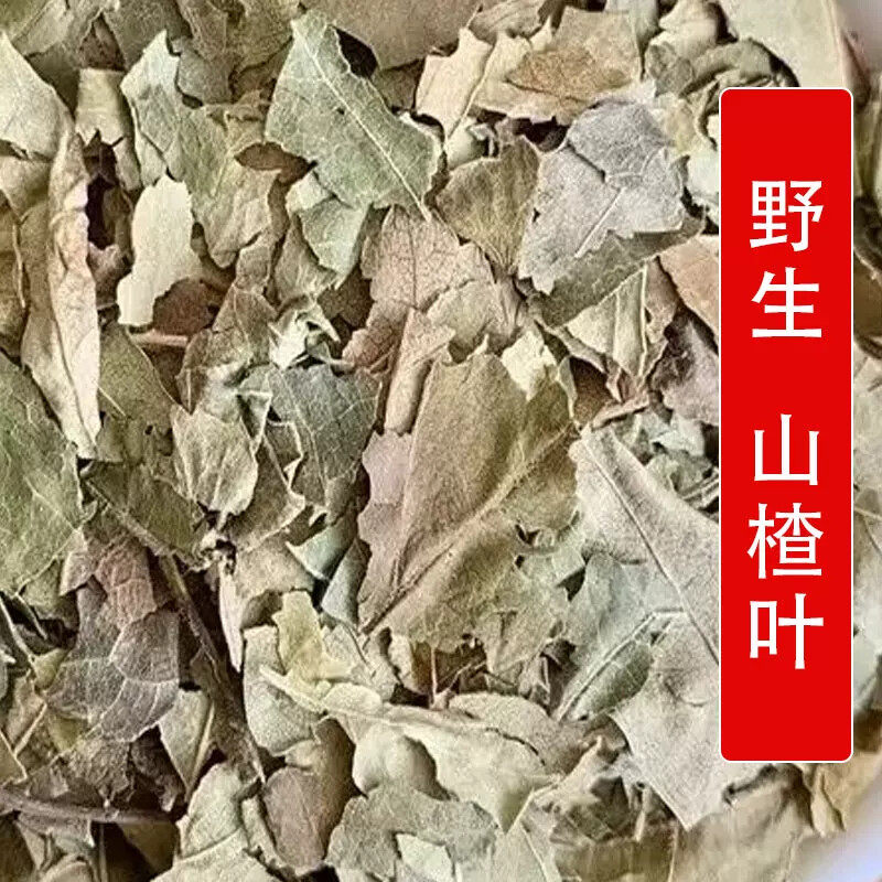 秦岭野生中药材山楂叶500g别名山里红叶 山楂树叶 赤枣子叶
