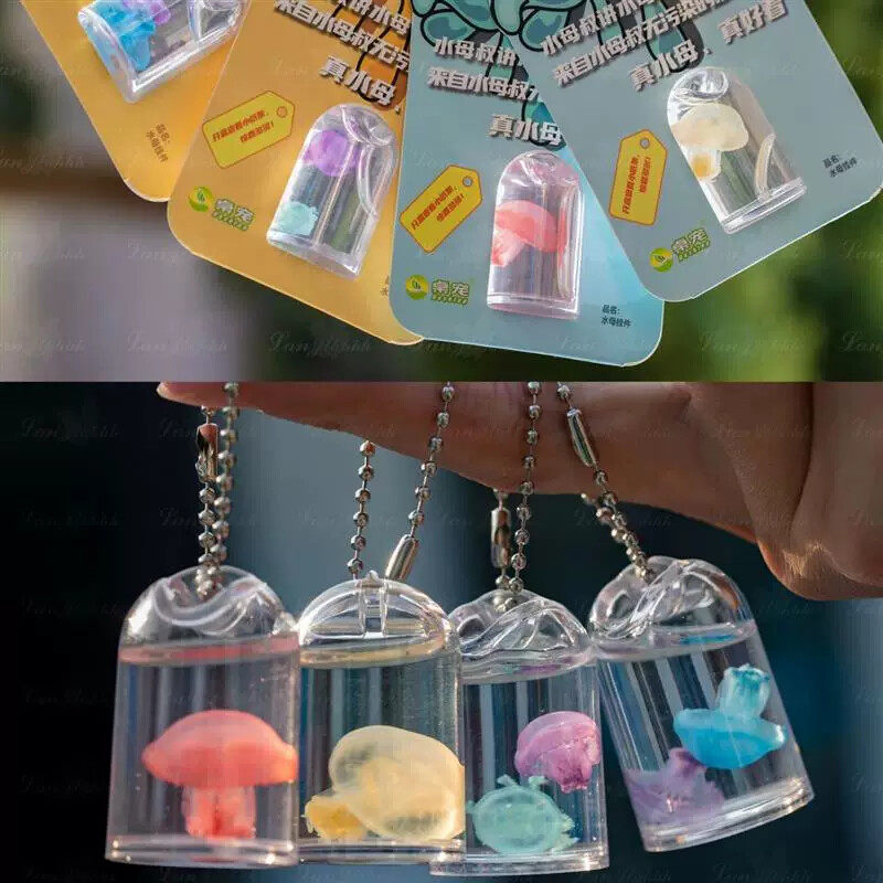 赤月水母标本挂件海洋生物巴布亚摆件学生儿童随身真水母标本玩具