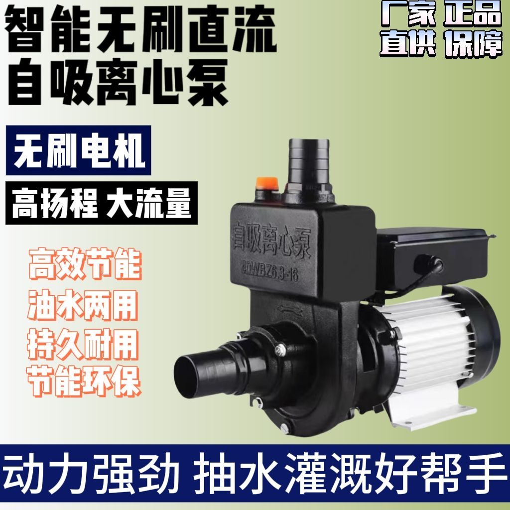 直流无刷自吸离心泵24V48V60伏电瓶车抽水机农用大流量洒水车水泵