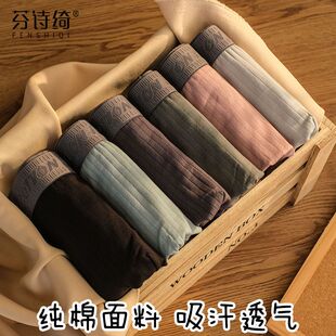 芬诗绮三条装男士内裤纯棉平角裤舒适条纹四角裤个性男生透气短裤