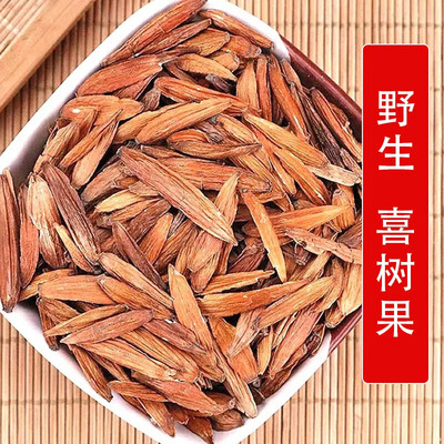 秦岭中药材喜树果500g别名千丈树子 水栗子 天梓树子