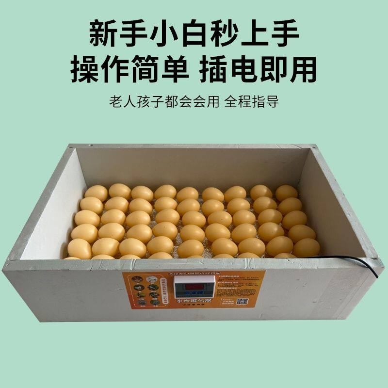 孵化器孵蛋机小型水床孵化鸡鸭鹅鸽子鸟蛋全自动智能恒温孵化芦丁