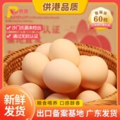 60枚出口基地鹏昌粮食鲜鸡蛋可生食无抗鸡蛋生鲜鸡蛋媲美土鸡蛋