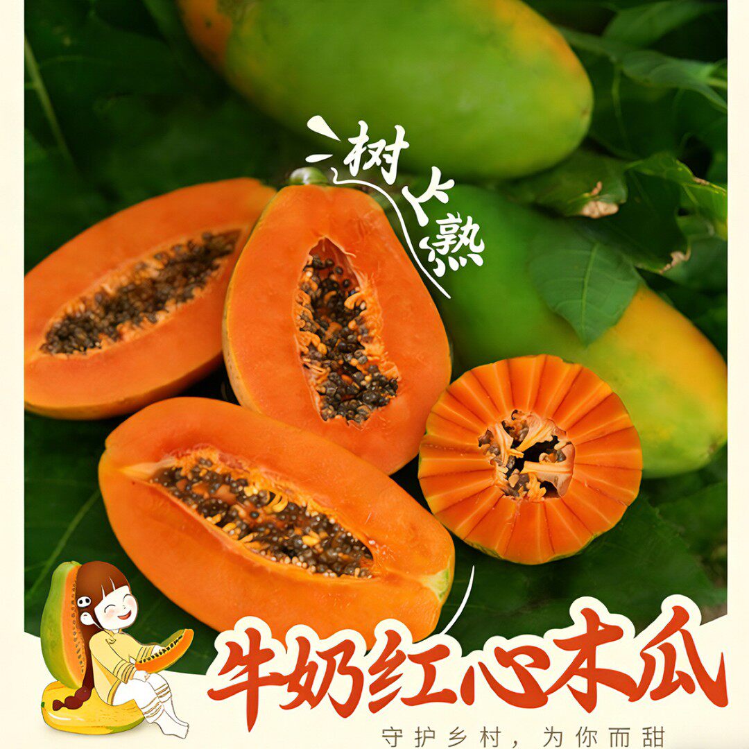 【顺丰送货上门礼盒装】海南红心牛奶冰糖木瓜软糯香甜产地直发果