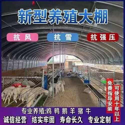 养殖大棚骨架钢管牛棚羊圈猪舍鹅兔养鸡场椭圆管温室蔬菜大棚全套