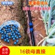 滴灌接头16锁母直接灌溉水管配件农用滴灌带滴灌水管及滴灌配件