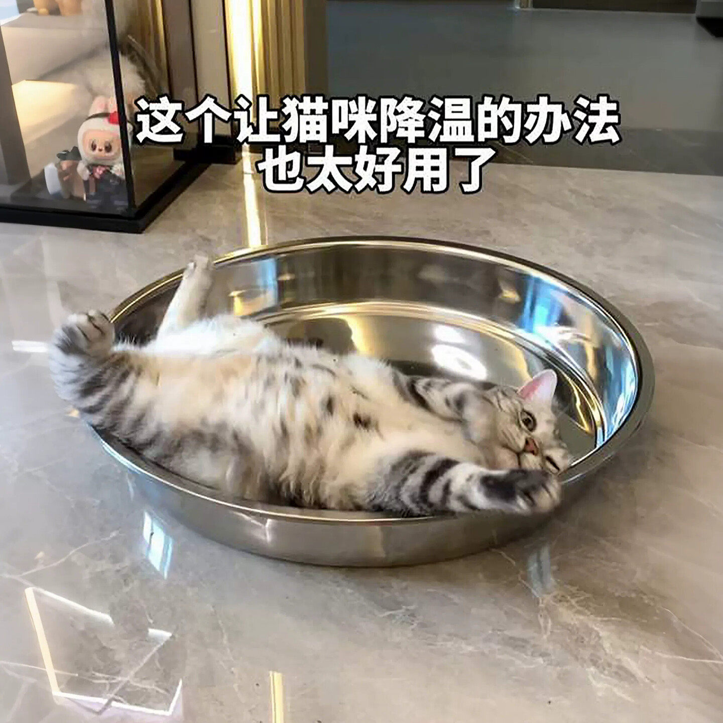 不锈钢宠物冰垫猫窝狗窝四季通用猫咪纳凉窝防抓耐磨夏季宠物凉垫