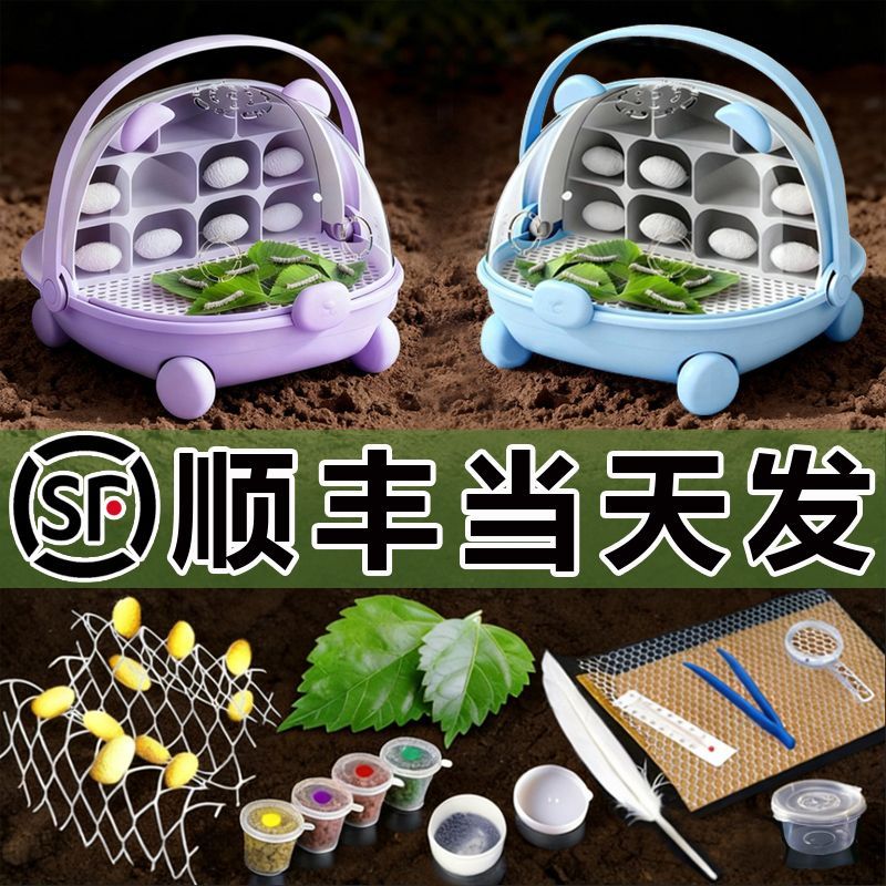 蚕宝宝豪华太空舱蚕宝宝学生养蚕套装饲养盒蚕卵幼虫新鲜桑叶太空