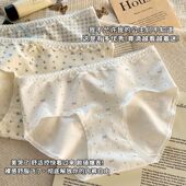 女士三角裤 内裤 头 夏季 薄款 纯棉2025新款 10A全棉抗菌裆中低腰女款