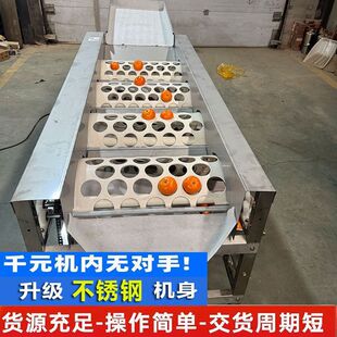 新款柑橘选果机滚筒分选机水果分级机橙子沃柑大蒜百香果筛分机