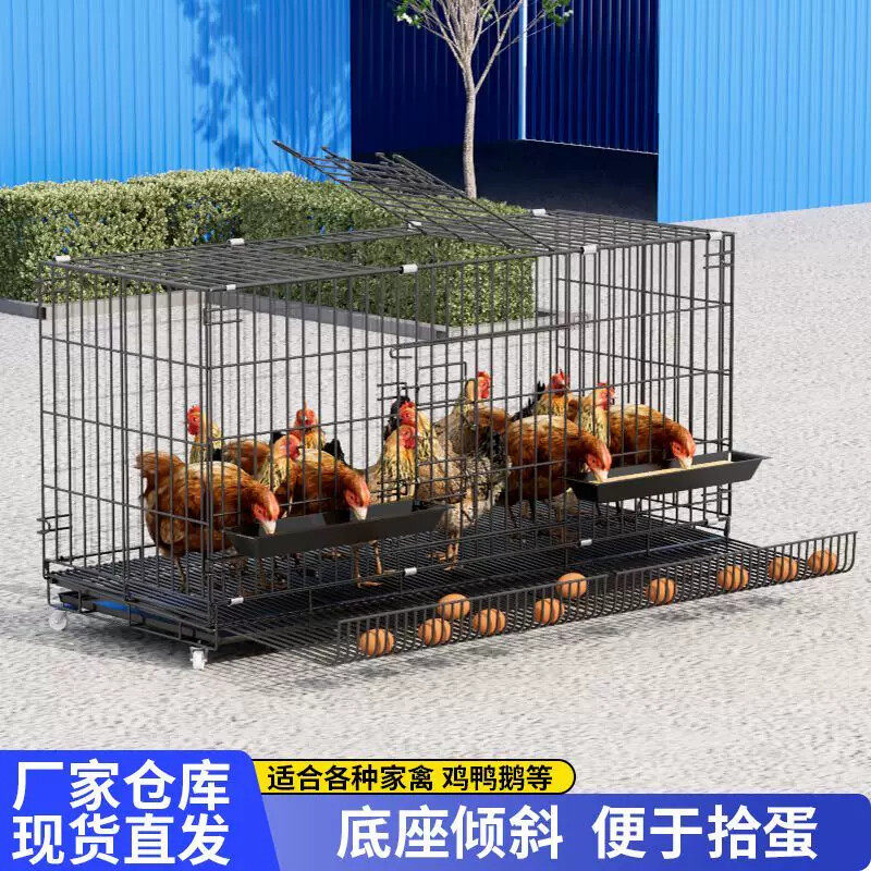 鸡笼子家用室外大号旧货市场鸡笼母鸡下蛋专用笼子防黄鼠狼养殖笼