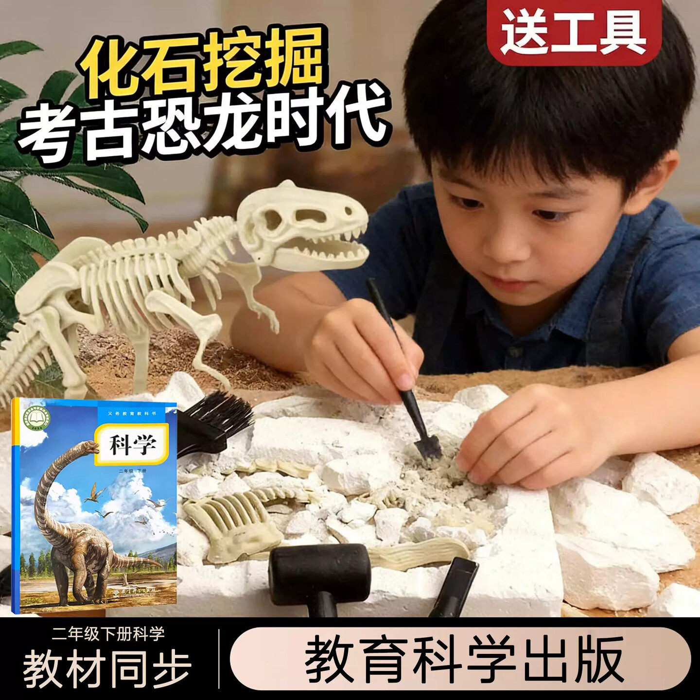 二年级下册科学恐龙化石材料包考古实验儿童恐龙骨架石膏挖掘玩具