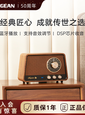 山进R1蓝牙音响家用客厅高音音箱木制家庭摆件复古礼物收音机