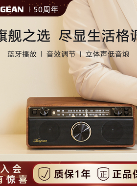 山进12BT蓝牙音响家用客厅环绕音箱高音超重低音炮木制复古收音机