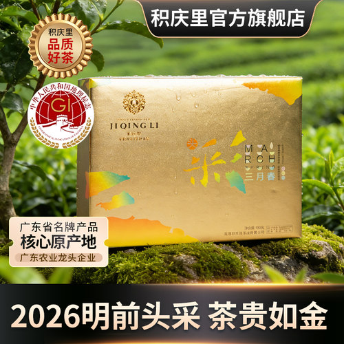 积庆里英红九号金毛毫炒青绿茶