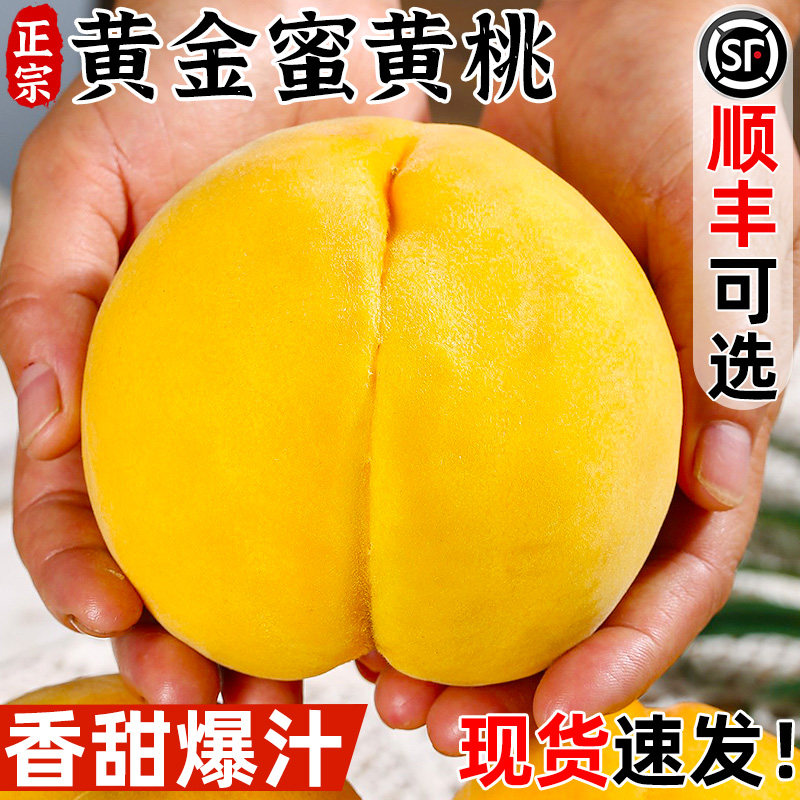 正宗黄金蜜黄桃新鲜毛桃子当季时令水果黄肉蜜桃脆桃大果整箱包邮