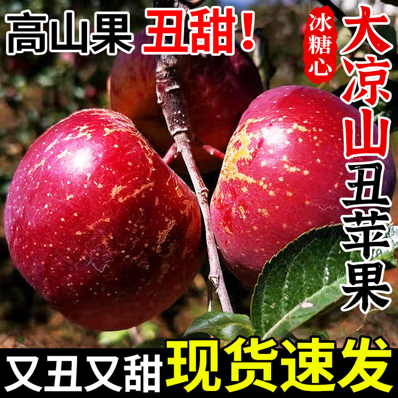 冰糖心不打蜡!正宗大凉山丑苹果