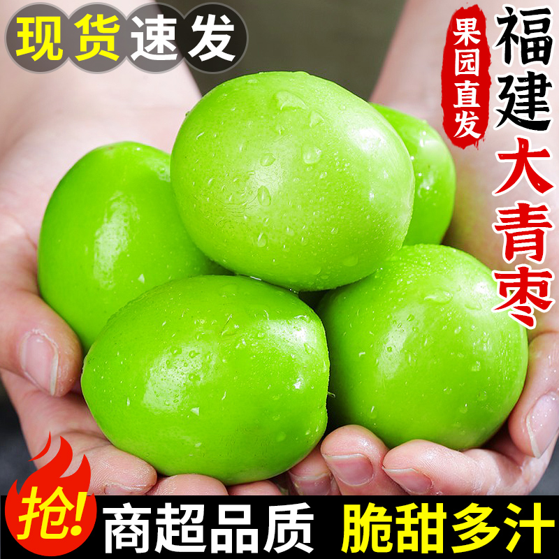 老树果！福建牛奶大青枣！脆甜