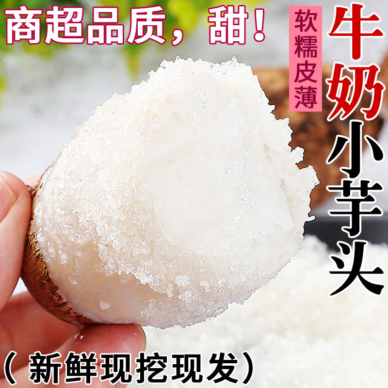 云南牛奶小芋头5斤新鲜毛芋头现挖香芋当季农家自种毛芋槟榔芋头3