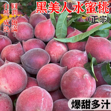 云南黑美人红宝石水蜜桃5斤新鲜水果毛桃当季现摘脆甜火焰鹰嘴桃