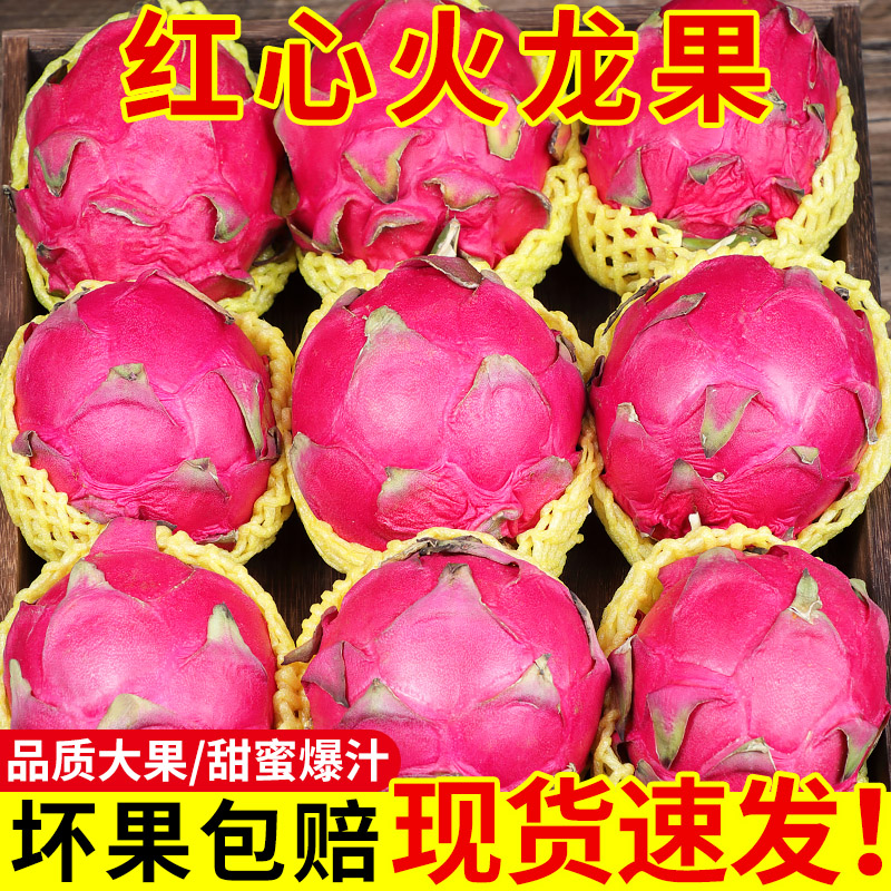 【正宗】金都一号红心火龙果!