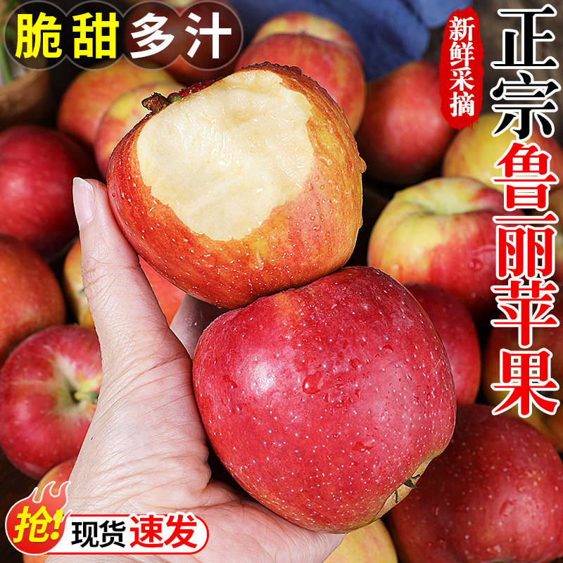 果园现摘!鲁丽苹果!脆甜多汁!