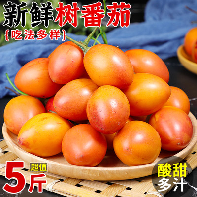 云南特产树番茄丨现摘现发可凉拌