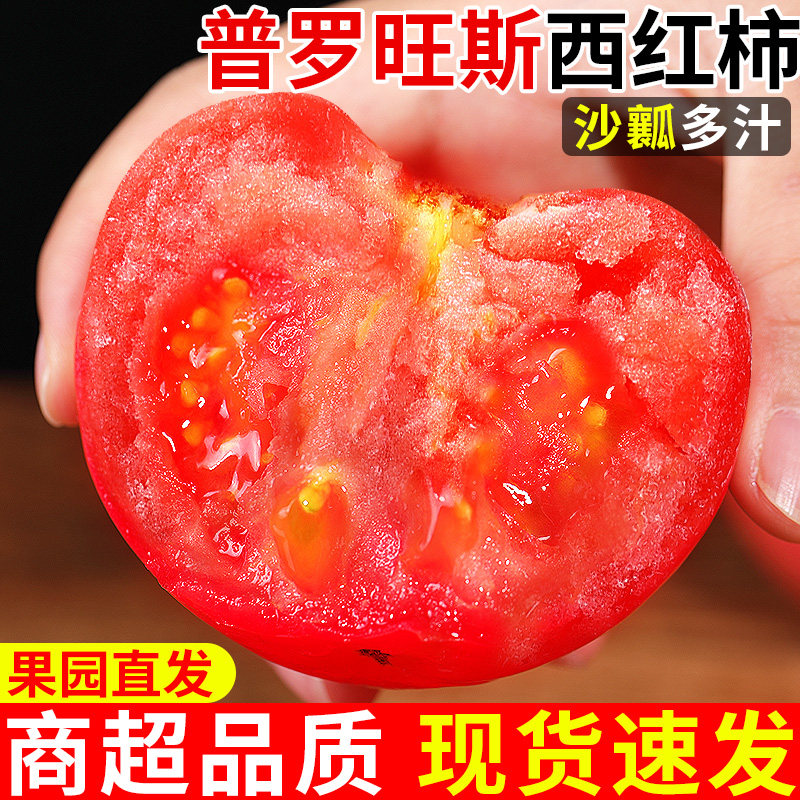 正宗普罗旺斯西红柿沙瓤番茄新鲜蔬菜当季草莓柿子自然熟生吃水果,水产肉类/新鲜蔬果/熟食,番茄,淘宝优惠券,粉丝福利购,淘宝优惠卷