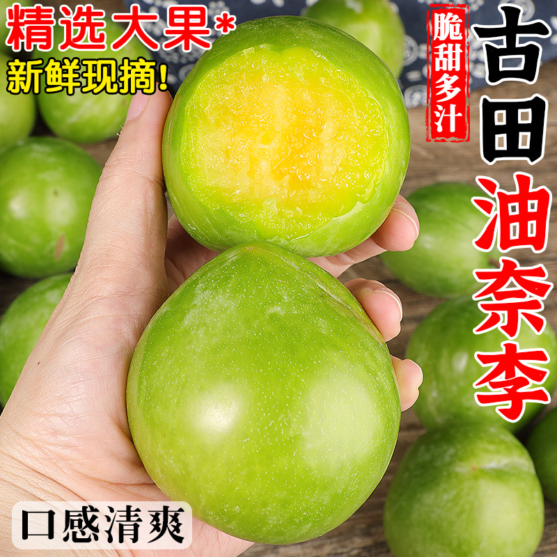 精选品质！古田油奈李！脆甜多汁