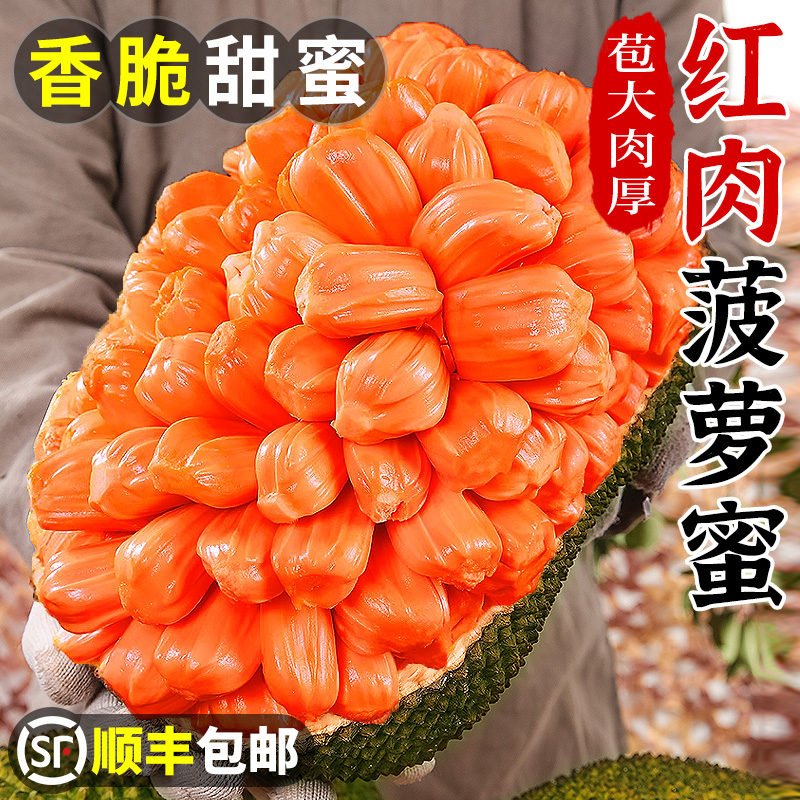 A+级丨印尼红肉菠萝蜜丨稀有品种
