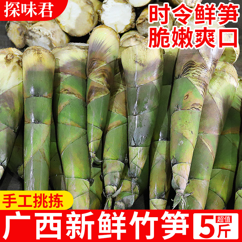 当天现挖！新鲜嫩竹笋！脆嫩鲜甜