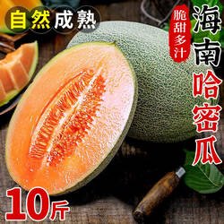 正宗新疆哈密瓜10斤新鲜水果当季冰淇淋蜜瓜脆甜蜜香瓜哈密瓜包邮