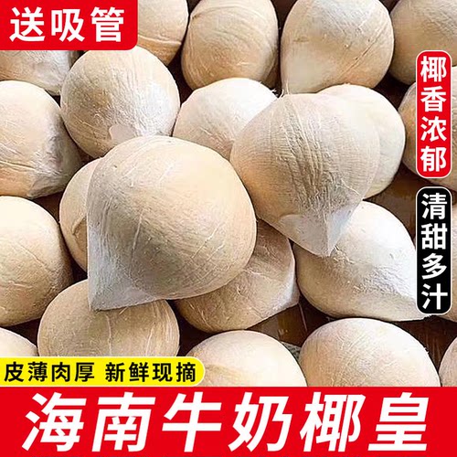 【精选品质】海南牛奶椰皇！清甜