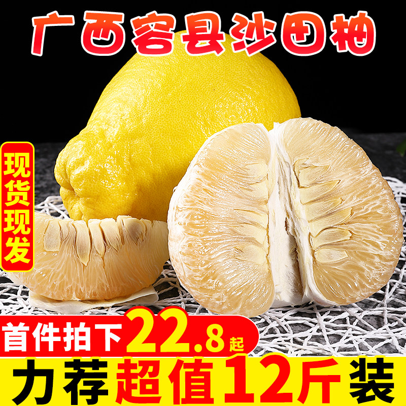正宗广西容县沙田柚12斤应当季新鲜现摘甜蜜柚白心柚子礼盒装包邮