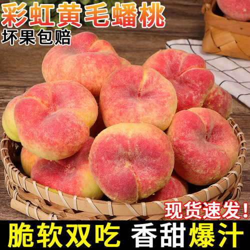 个大饱满!彩虹黄毛蟠桃!现摘