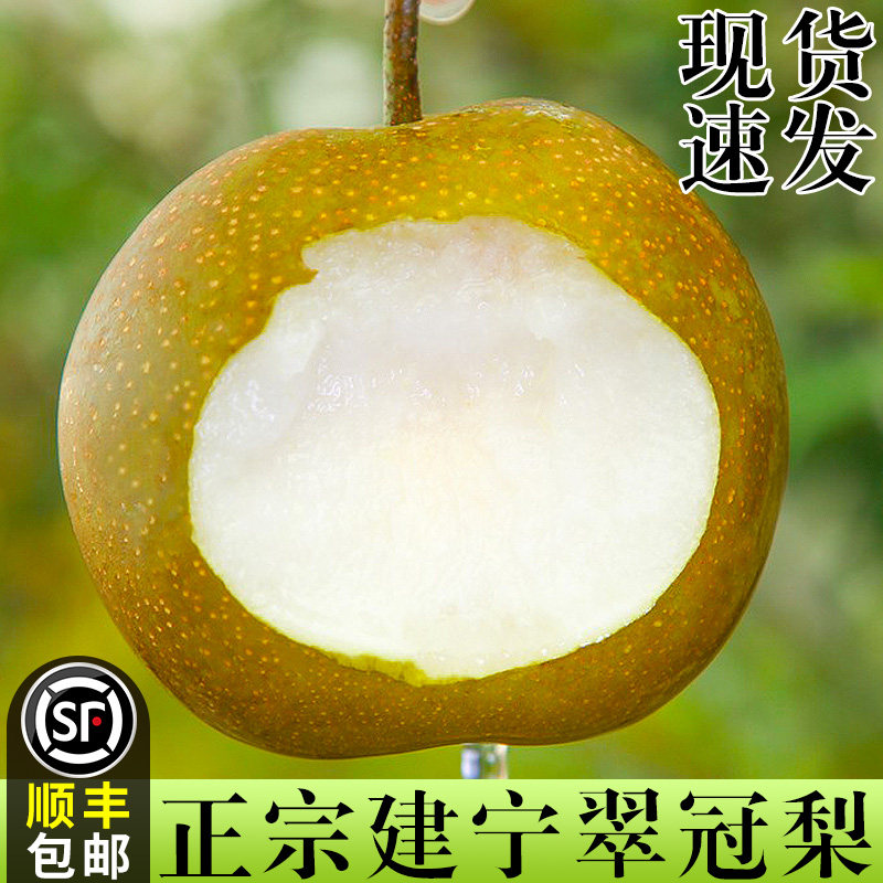 【精选品质】正宗脆甜翠冠梨！