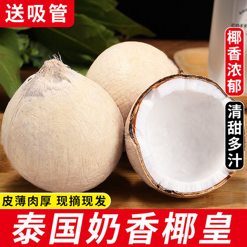 【精选品质】泰国进口小奶椰皇！
