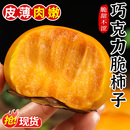 包邮 巧克力脆柿子新鲜水果柿子当季 正宗冰糖心黄甜脆火晶柿子整箱