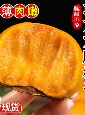 巧克力脆柿子新鲜水果柿子当季正宗冰糖心黄甜脆火晶柿子整箱包邮