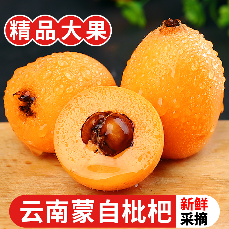 云南蒙自枇杷3斤大果当季现摘孕妇水果甜琵琶果特产新鲜水果整箱5
